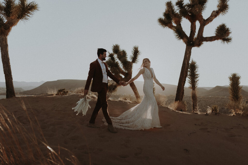 An eloping couple in the desert at Joshua Tree.