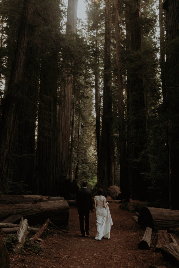 A wedding elopement couple walking through California redwoods